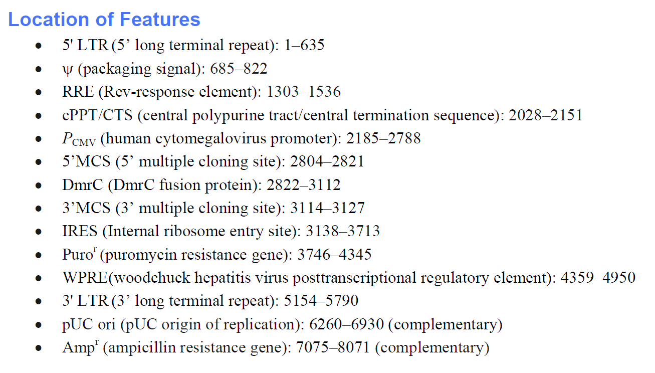 pLVX-Het-1 载体特征